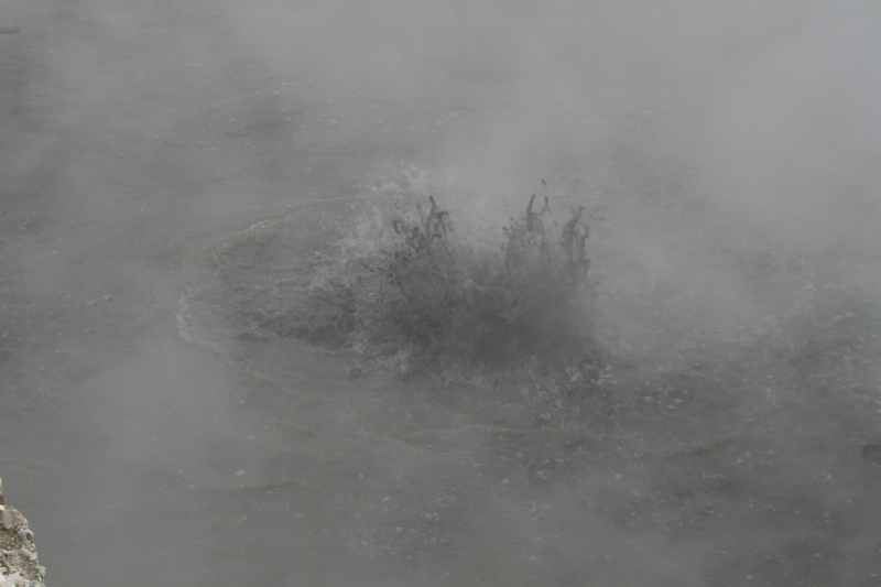 Nieuw-Zeeland 2011 - 0613